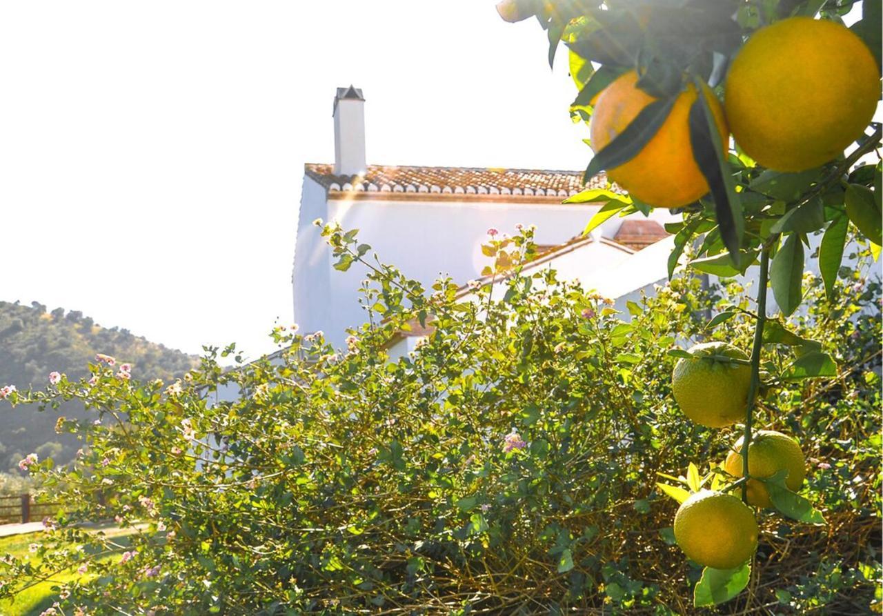 Cortijo Las Caballerias Alora Εξωτερικό φωτογραφία