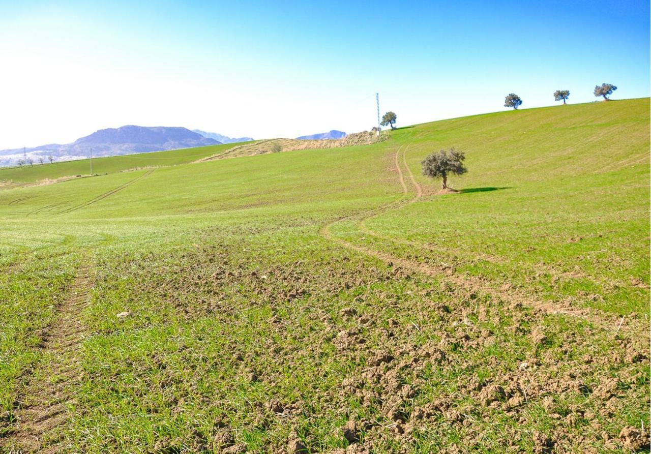 Cortijo Las Caballerias Alora Εξωτερικό φωτογραφία
